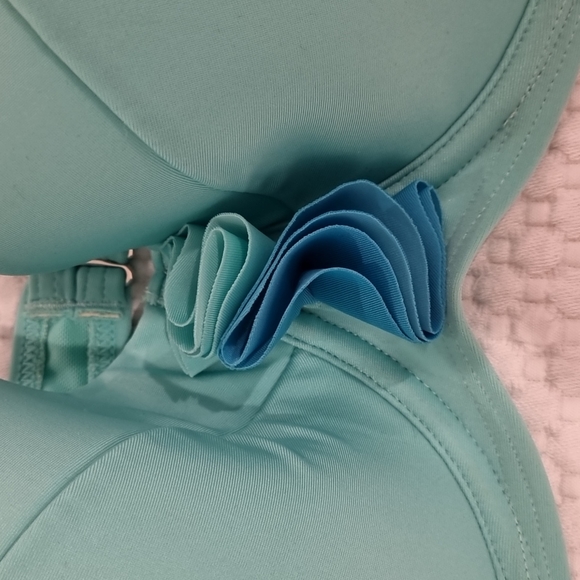 NWT Mint green D+ La Vie En Rose Bikini Top - Picture 2 of 5